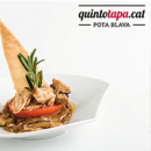 quintotapa quintotapa