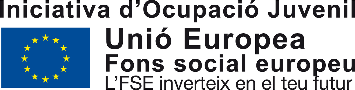 FSE garantia juvenil