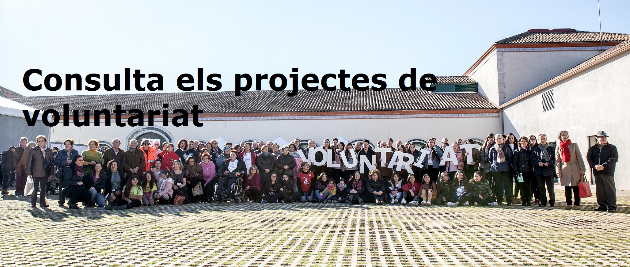 consulta projectes voluntariat