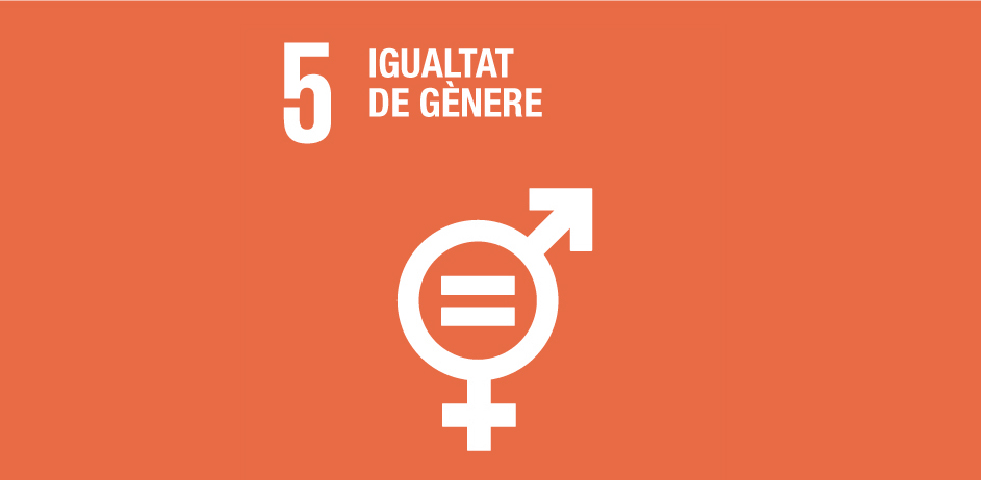 Imatge gràfica de l'ODS 5. Igualtat de Gènere