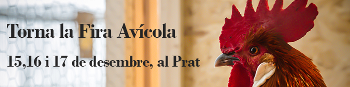 Fira Avícola 2017