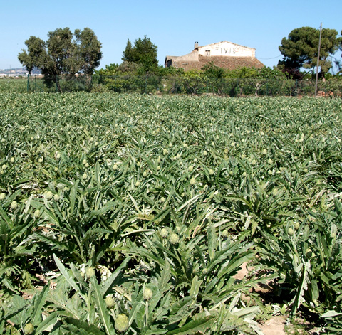 Parc agrari
