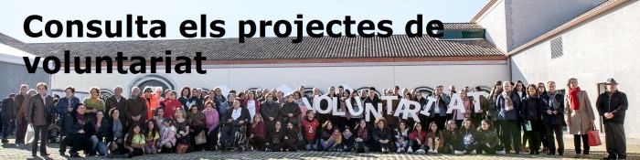 consulta projectes voluntariat