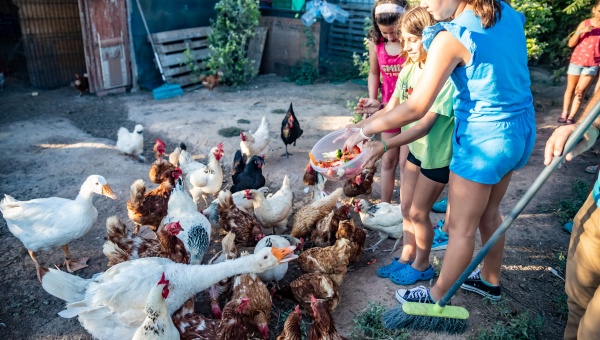 Activitats a l'Escola d'Estiu "Healthy families" (2019)