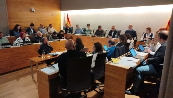 Ple municipal novembre 2024