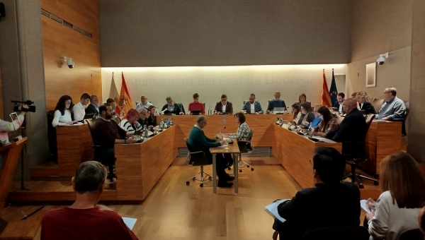 Ple municipal desembre 2024
