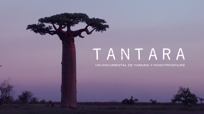 Tantara Sergi Sandúa