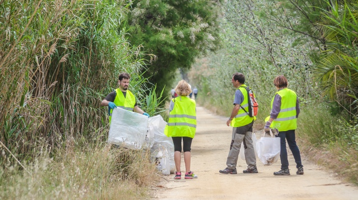 punt voluntariat