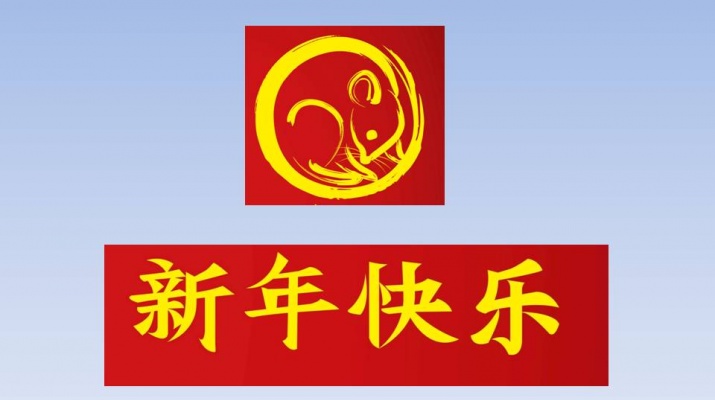 any nou xinès 2020