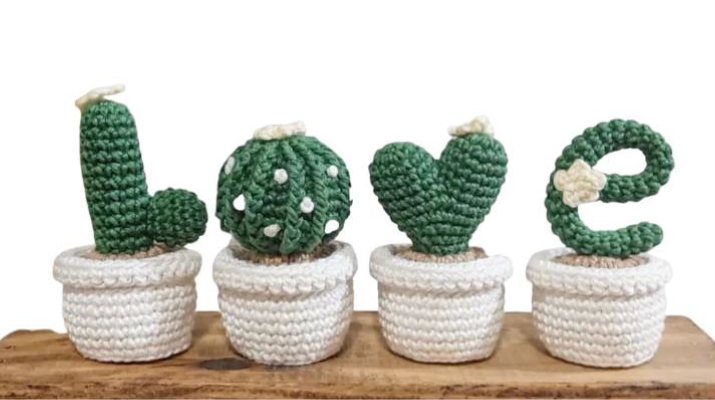 Cactus de ganxet