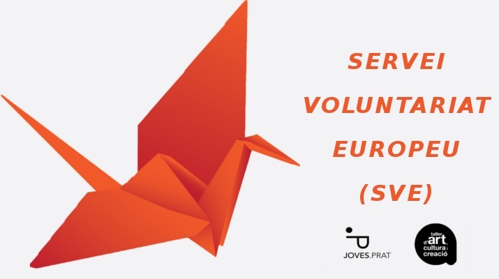 Servei Voluntariat Europeu
