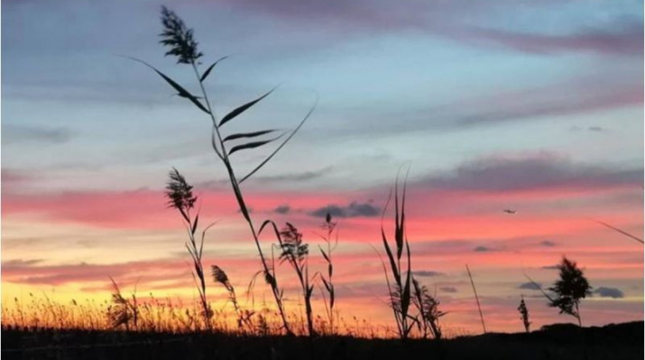 Una posta de sol al delta