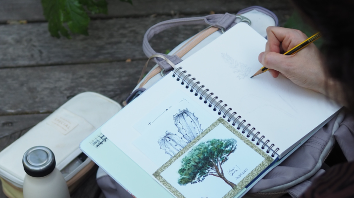 Il·lustració científica: la biodiversitat del nostre entorn