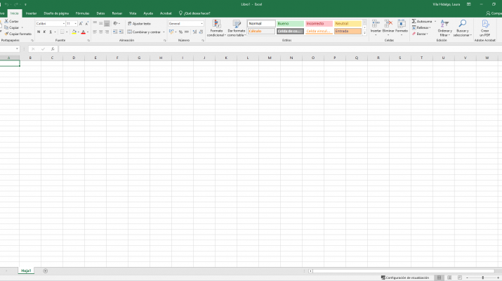 Microsoft Excel 2019 Nivell 1 – Certificació MOS 200: Ex-cel Associate