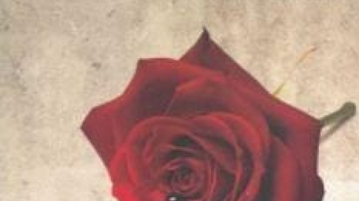 bodas de sangre.jpeg