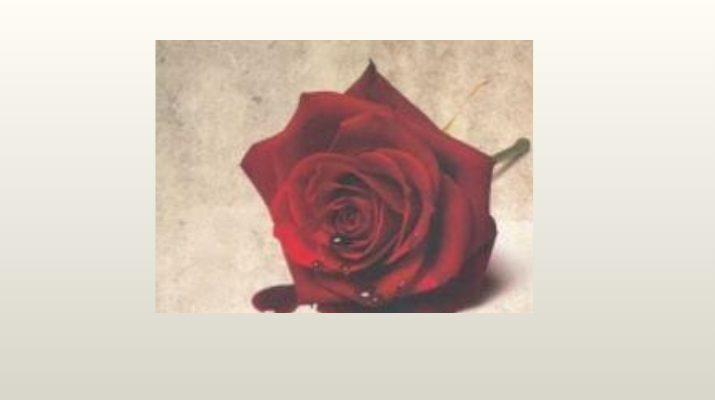 bodas de sangre def.png