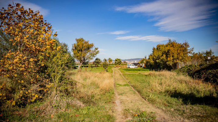 Finca de la Marina al Prat