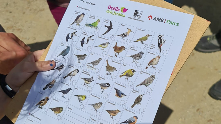 Les Aigües 2022-05-15 Bioblitz.jpeg