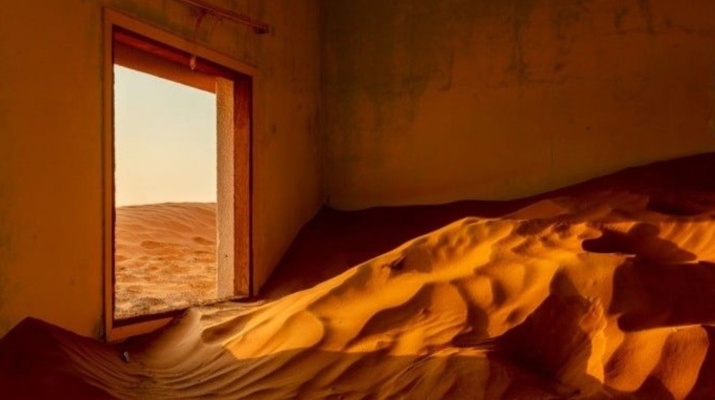 El desierto crece.jpg
