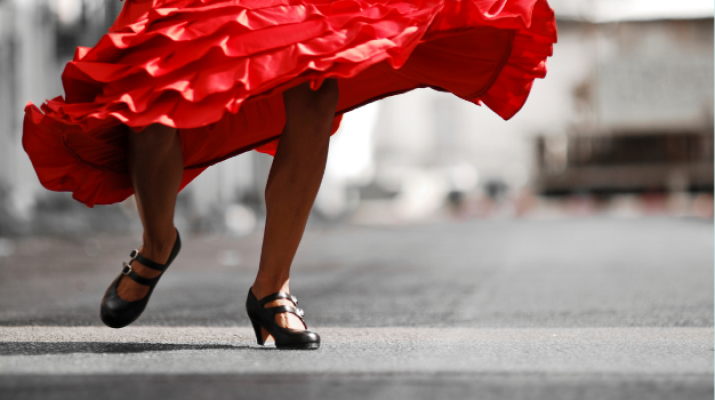 quadre flamenc web.png
