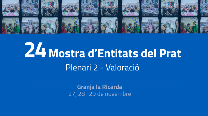 0_plenari_2026_-_mostra_entitats.pdf.png