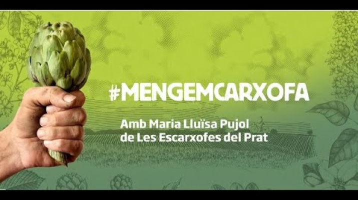 #CuinemCarxofa​​ amb M. Lluïssa Pujol de Les Escarxofes del Prat: Pastís de formatge i carxofa