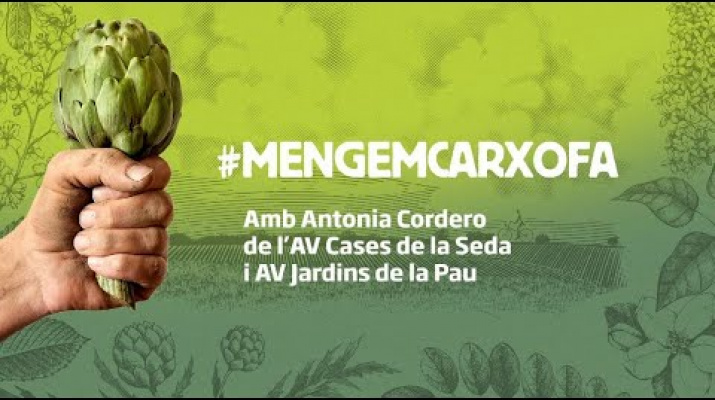 #CuinemCarxofa​​ amb Antonia Cordero, de l'AV Jardins de la Pau. Recepta: Carxofes al caprici