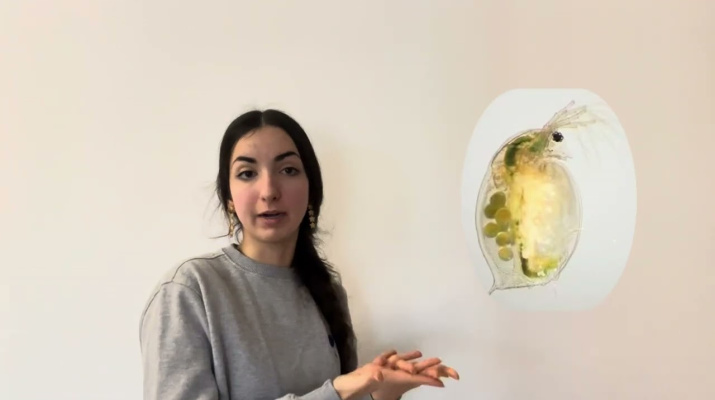 Maria Líndez  Influència d'una dieta alta en greixos en l'aparell cardiovascular