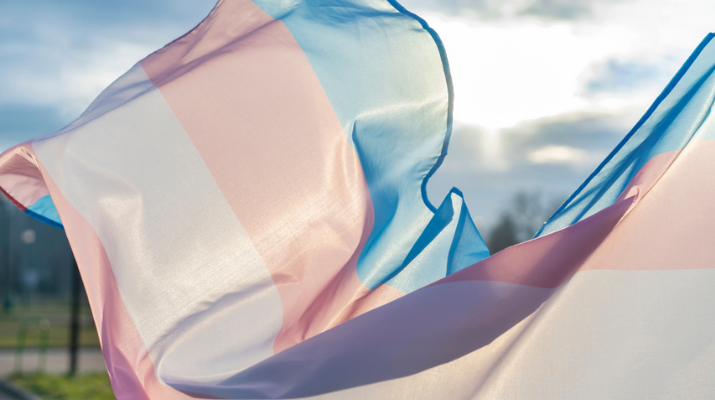DIA DE LA VISIBILITAT TRANS AL PRAT
