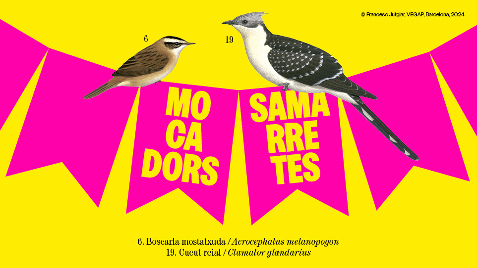 Banner mocadores 962x542.jpg