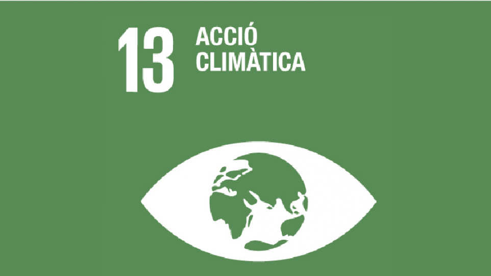 Imatge gràfica de l'ODS 13. Acció Climàtica