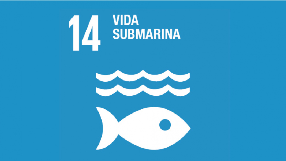 Imatge gràfica de l'ODS 14. Vida Submarina