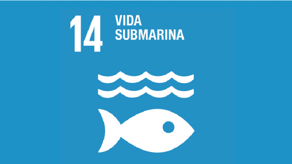 Imatge gràfica de l'ODS 14. Vida Submarina Imatge gràfica de l'ODS 14. Vida Submarina