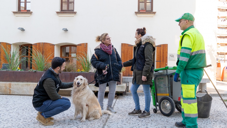 Convivència i Civisme, 2019