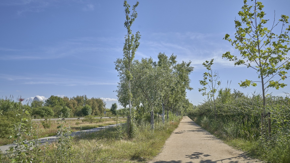 Camí de la platja