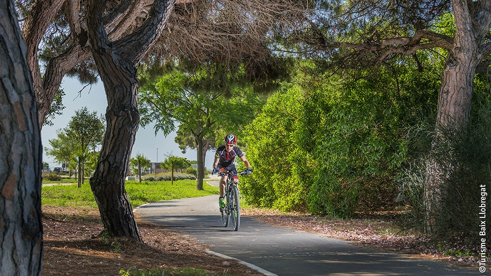 Turisme actiu - Bici