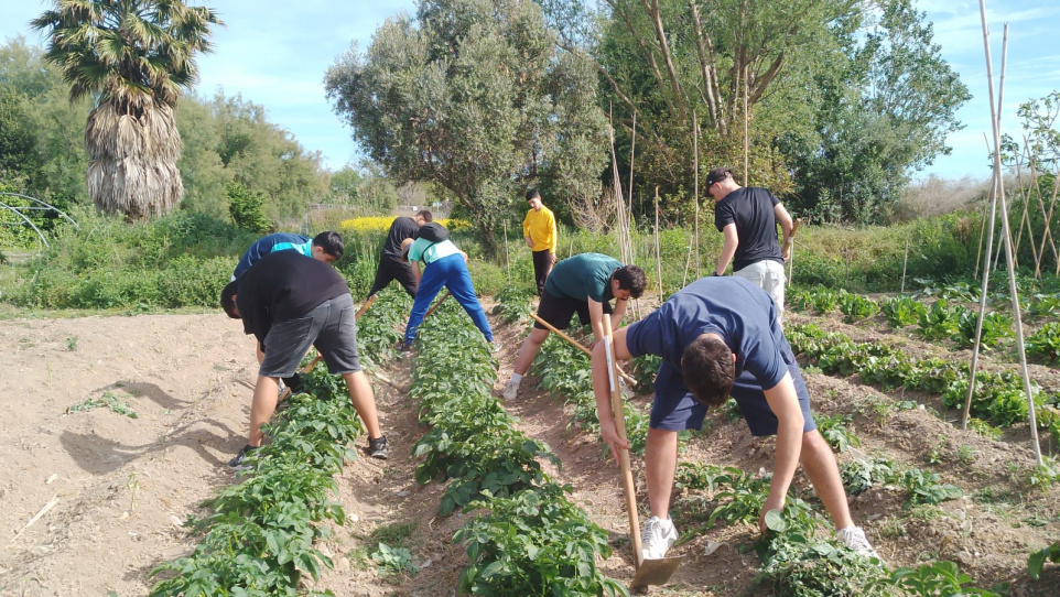 Alumnes agrícola