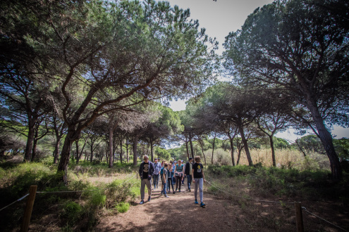 Visita guiada a la pineda de Can Camins