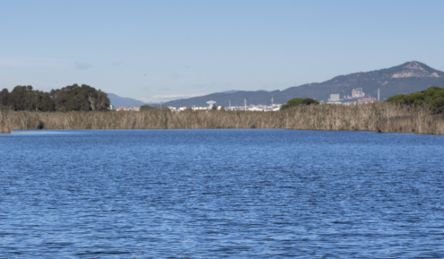 L'estany de la Ricarda amb els Pirineus al fons (Foto: David Airob) 