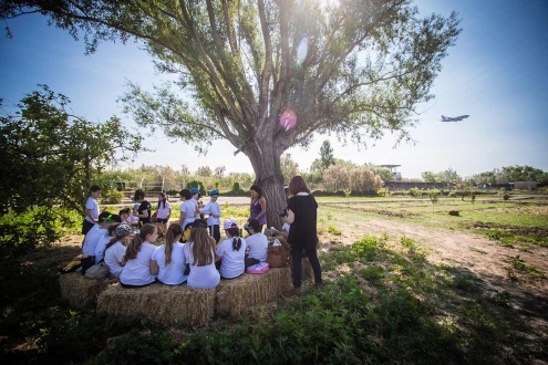 educació ambiental