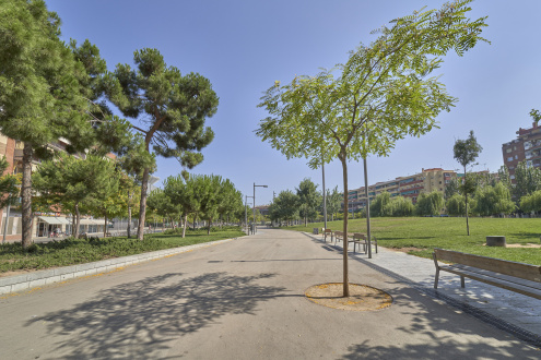 Plaça Catalunya