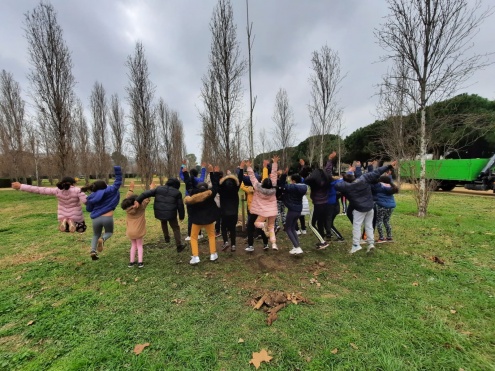 Plantada arbres Parc Nou