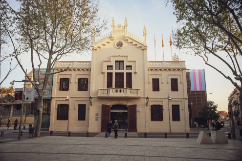 Imatge de la bandera de la visibilitat transgènere a la façana de l'Ajuntament, 2021