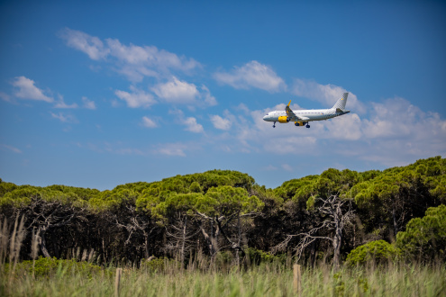 Un avió sobrevola una pineda a la Ricarda, als espais naturals protegits del Delta del Llobregat.