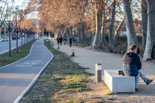 Bancs camí de la platja