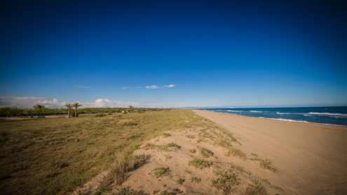 Platja del Prat 2018