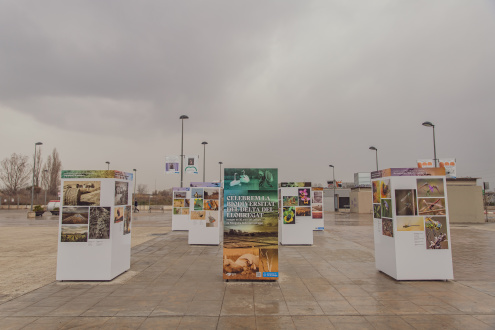 Expo celebrem biodiversitat