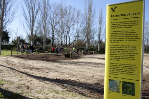 Plantacions a la Marina del parc Nou.