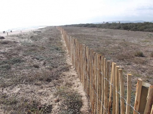 Palissada a la platja del Remolar.