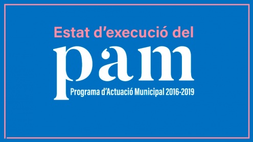 Estat Execució PAM 2016-2019